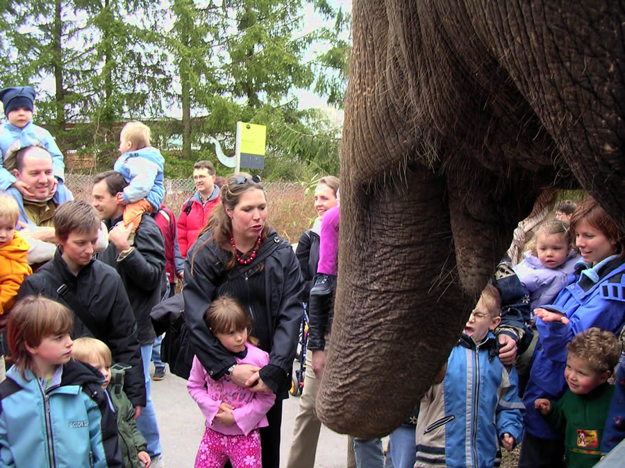 En contacto con los visitantes del zoológico