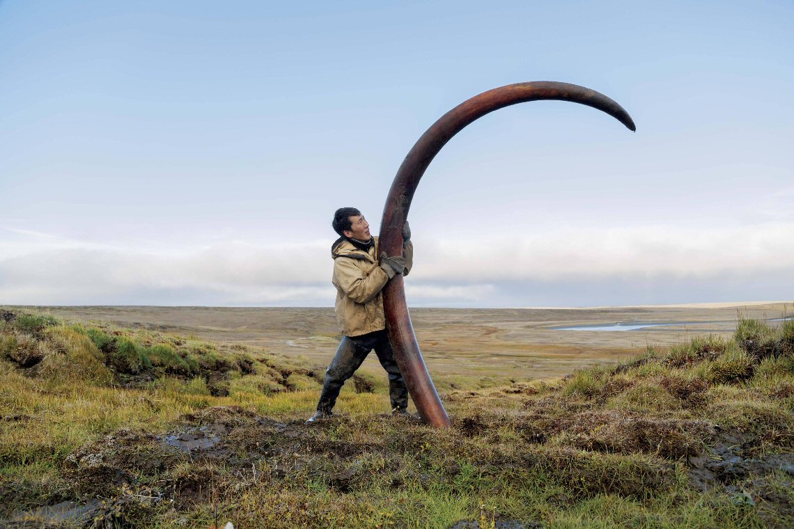 Buscador de dientes de colmillo de mamut en Siberia del Norte / Foto de Evgenia Arbugaeva